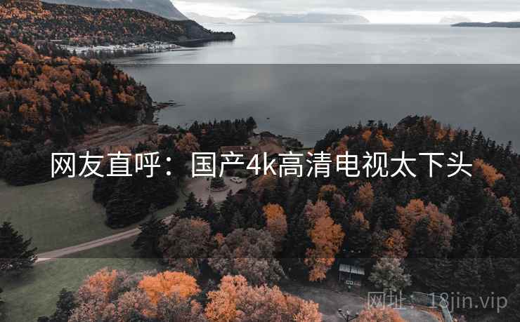 网友直呼：国产4k高清电视太下头